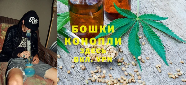 дмт Няндома