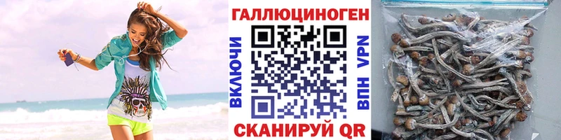Псилоцибиновые грибы Cubensis  Кирсанов 