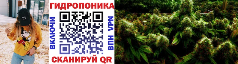 магазин наркотиков Кирсанов Марихуана Ganja